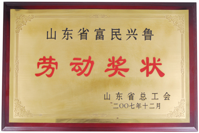 公司荣誉